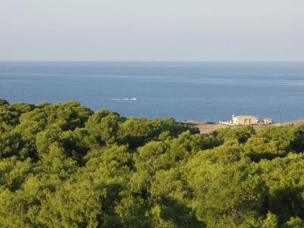 Lithies Farm Houses Vasilikí Екстериор снимка